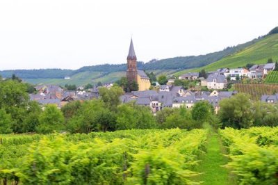 2017084415 Vineyards Moselle Valley.jpg