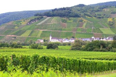 2017084416 Vineyards Moselle Valley.jpg