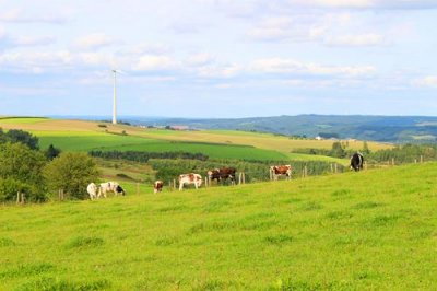 2017084475 Ardennes countryside.jpg