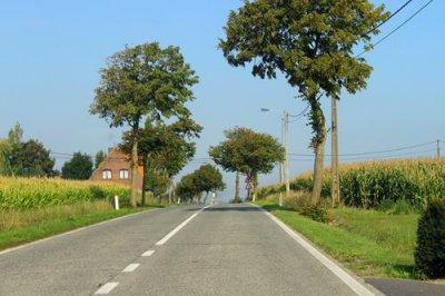 2017085076 Treelined road West Flanders.jpg