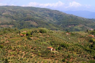 2017095258 Tuscan Hills Montecatini.jpg