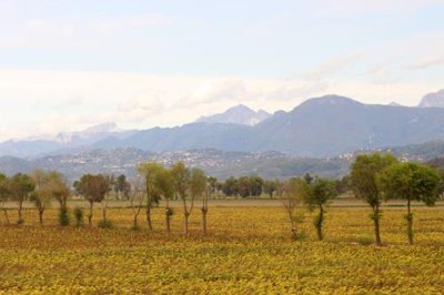 2017095606 Hills of Tuscany.jpg