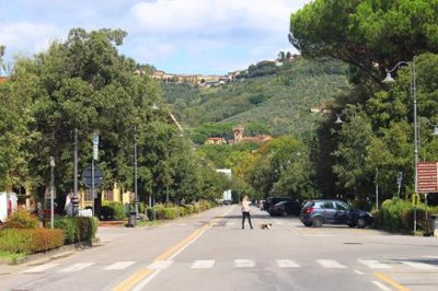 2017095911 Tree lined street Montecatini.jpg