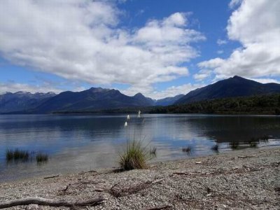 Feb2017_NZ_TA_LakeManapouriWalk01416.JPG