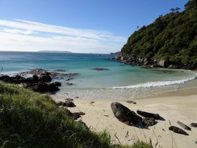 Feb2017_NZ_SI_DeadManBeach01677.JPG