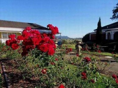 HunterValley2017KirktonParkRoses02588.JPG
