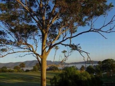 HunterValley2017_KirktonPark02800.JPG