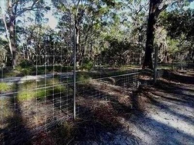FraserIslandDingoFence03294.JPG
