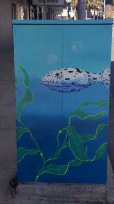 BigBoxSeaCreatures_104404.jpg