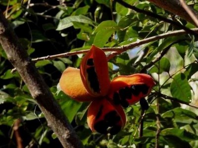 Magnetic Island Scenery 2017