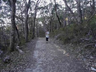 ML_WalkingTrail03800.JPG