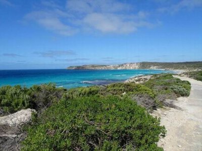 KI_PenningtonBay03841.JPG