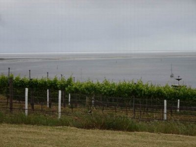 KI_Winery04086.JPG