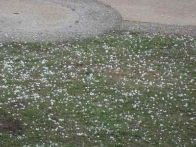 HailStones04222.JPG