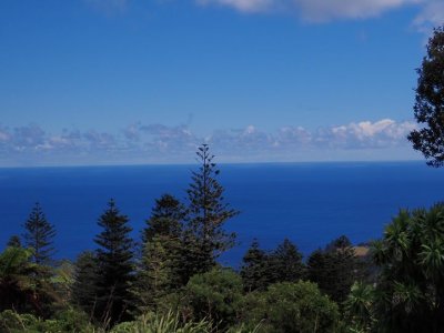 MtPitt3050097.JPG