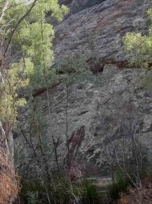 WilpenaPoundScenery05319.JPG