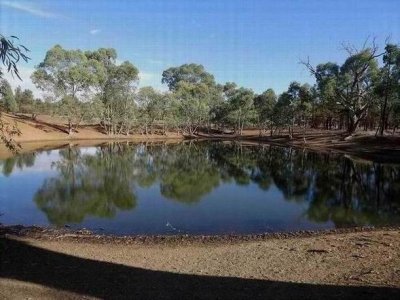 WilpenaPoundWoodDuckDam.JPG