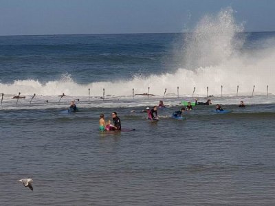 CanoePoolSurfing.jpg