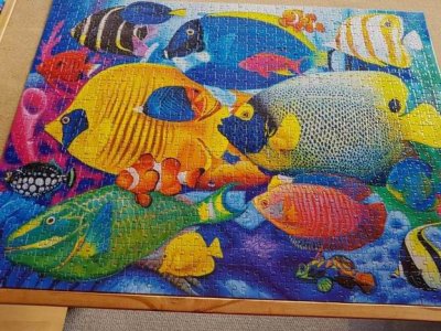 TropicalFishJigsaw.jpg