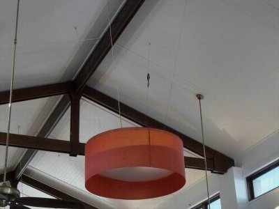 PortDouglas_Bird_SunbirdNest.JPG