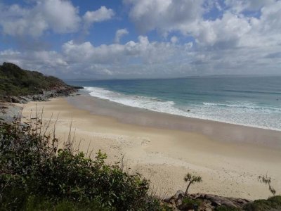Noosa06813.JPG