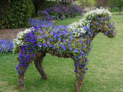 HunterValleyGardens06969.JPG