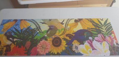 Jigsaw_NZ_Birds.jpg