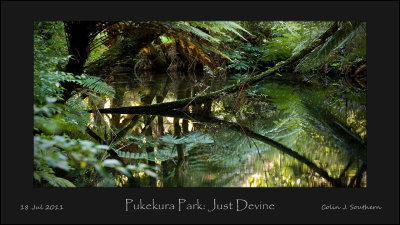 Pukekura Park: Just Devine