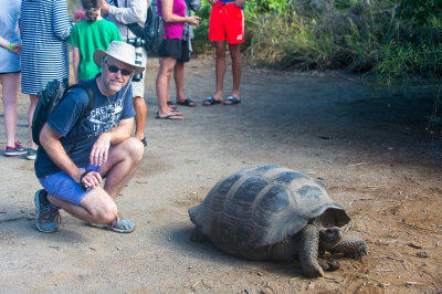 Giant Turtle