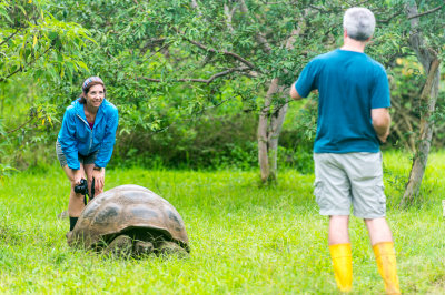 Giant Turtle