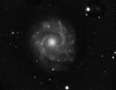 NGC3631