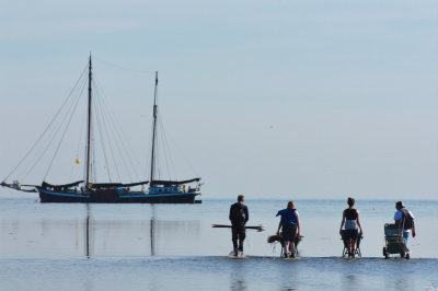 Onderzoek en herstel rond vogeleiland Griend