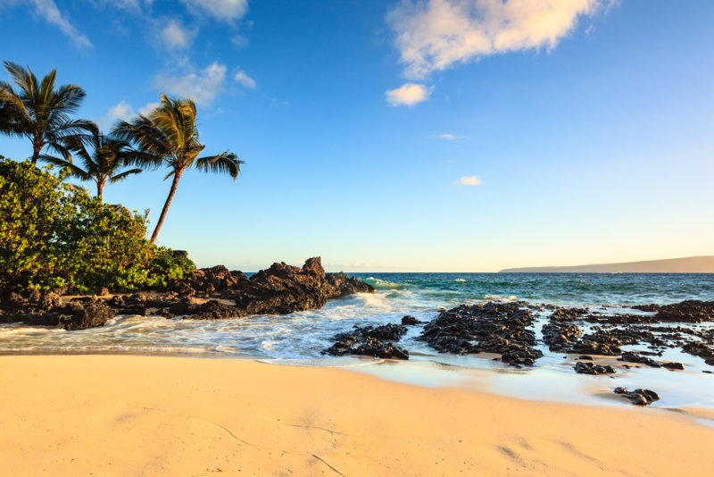 Makena_Cove_48620.jpg