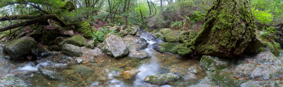 04_2016_Mt Tam Multirow Intensify.jpg