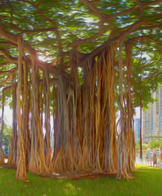 06_2016_Waikiki Banyan Impressions.jpg