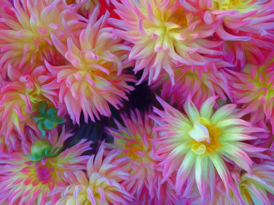 07_2016_HMS iPhone 6_wonderful dhalias via swirly 0441.jpg