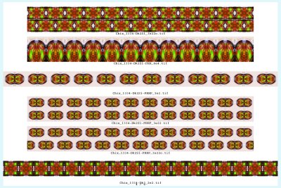 Chix_IMG_1334-Edges_004.jpg