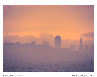 FAA_FoggySF_IMG_7120_8x10.jpg