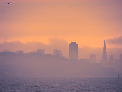 FAA_FoggySF_7120-NB_FPO.jpg