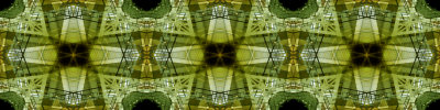 Post_1498-M2L_3p1-FPO.jpg