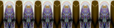 Idor_1494-L2F-ER_3p1-FPO.jpg