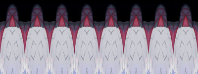Toyo_IMG_1492-LKK-R-FPO.jpg