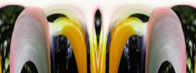 g10/85/30885/3/165842527.XdN2AIIH.jpg