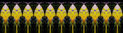 BoP_1433-K2F-R_3p1-FPO.jpg
