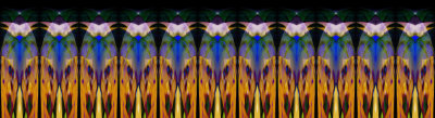 BoP_1433-KSF-R_3p1-FPO.jpg