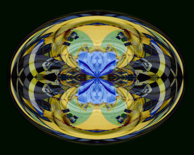 AptD_1423-KF-RP_1p1-FPO.jpg