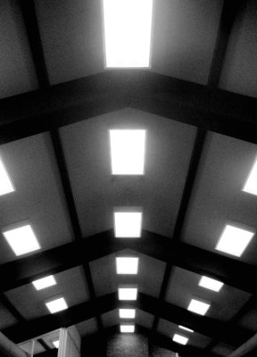 Ceiling_IMG_2508crp-WA-DPC.jpg