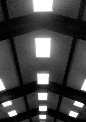 Ceiling_IMG_2508crpCU-DPC.jpg