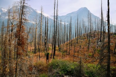 GL8_8441 Fire Aftermath