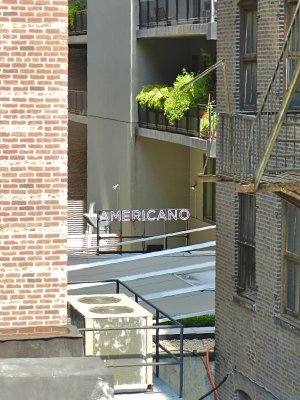 DSCN0971.jpg